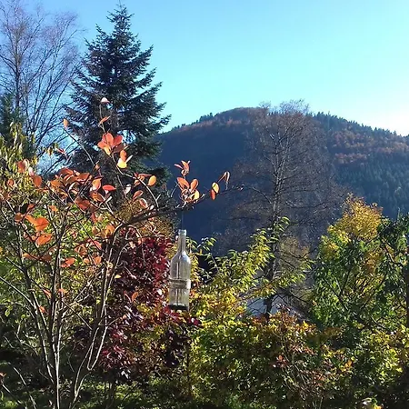 Schoenblick Apartment