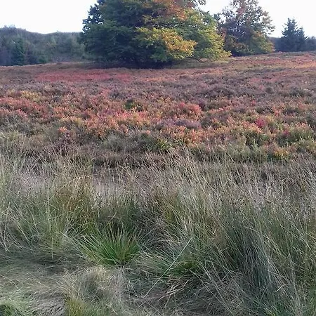 Schoenblick Winterberg