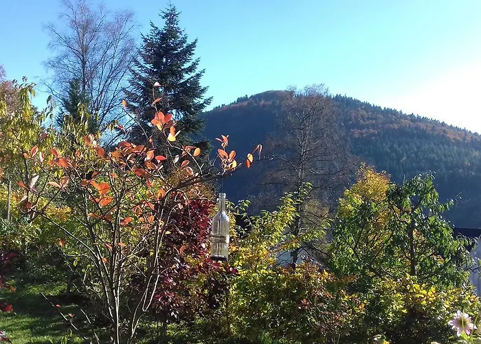 Schoenblick Apartment