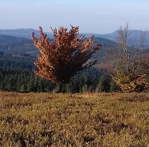 Schoenblick * Winterberg