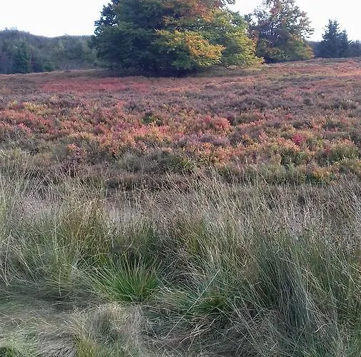 Schoenblick Winterberg